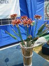 Фотография Коломоец Татьяны