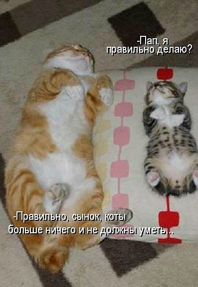 Мария Моисейчева | Киев