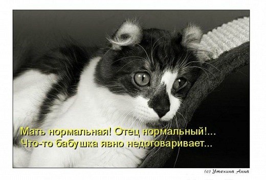 Мария Моисейчева | Киев