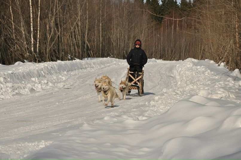 Евгений Елхачев | Вологда