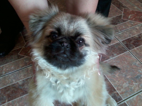 №9, Knopa Markova №9, Knopa Markova