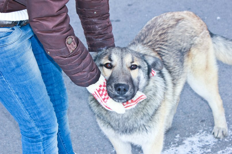 Кирилл Мамыч SOUND-MASTER | Магнитогорск