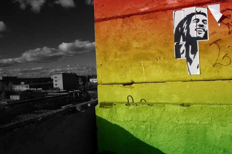 Druny Borzik СухОгРуZzZ | Балашиха