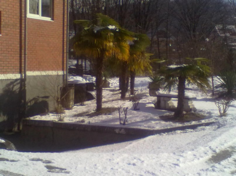 Егор Гаврилов | Сургут