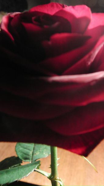 №200, Freya Liu, 36 лет, Москва №200, Freya Liu, 36 лет, Москва