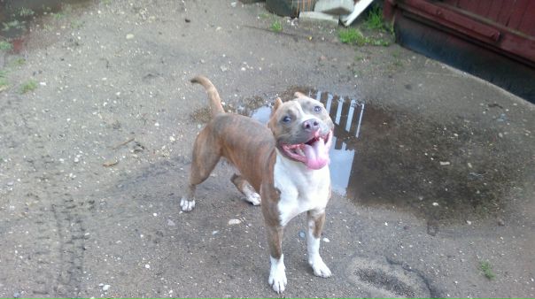 №73, Алексей Балинский, Минск №73, Алексей Балинский, Минск