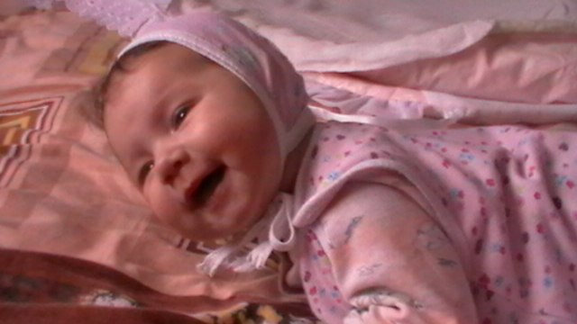 Николай Никитин | Мошенское