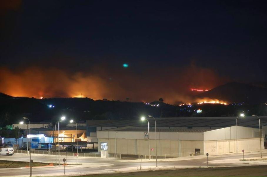 №16, Лена Окипская №16, Лена Окипская