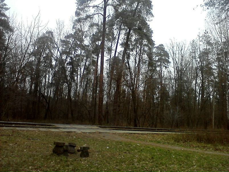 №24, Александр Лытарь, 49 лет, Киев №24, Александр Лытарь, 49 лет, Киев