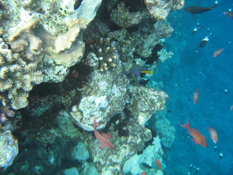 Адель Закиров Ринатович | Казань