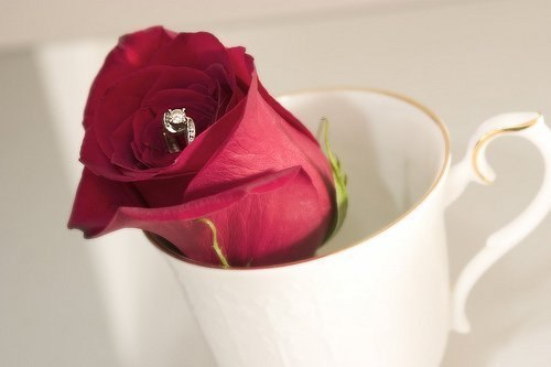 Елена Ерлина | Новосибирск