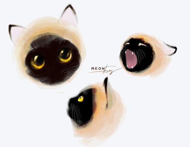 Катерина Плескач ~JustStroKa~ | Минск