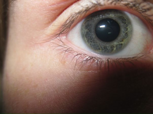 №15, Дмитрий Вчерашнюк №15, Дмитрий Вчерашнюк