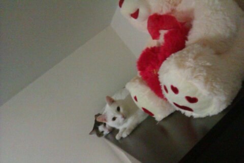 Жека Спицын | Екатеринбург