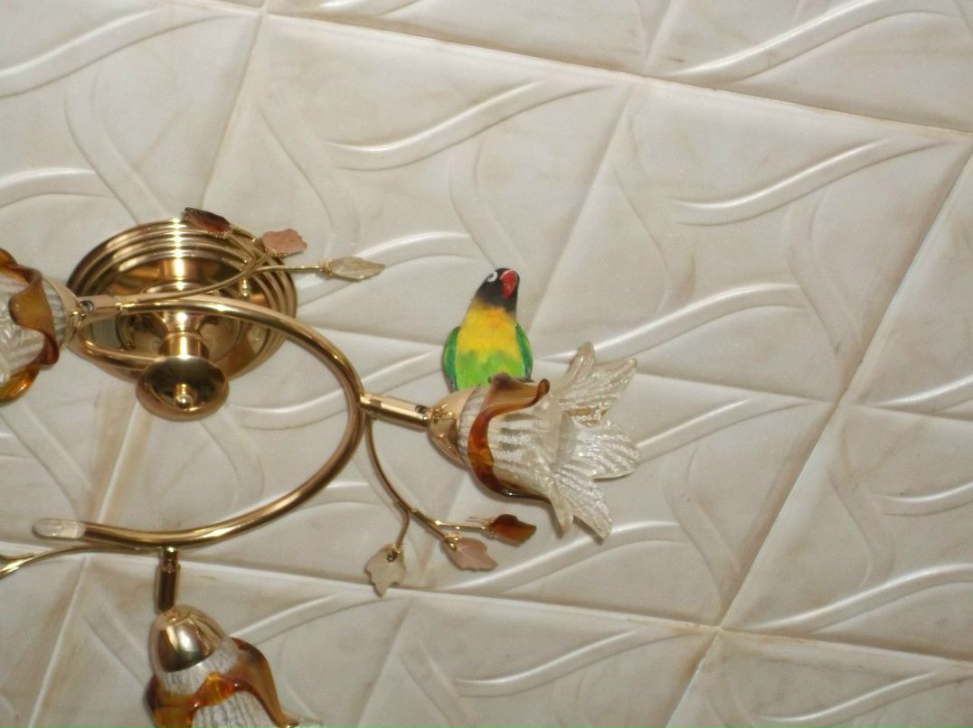 Екатерина Ефимова | Самара