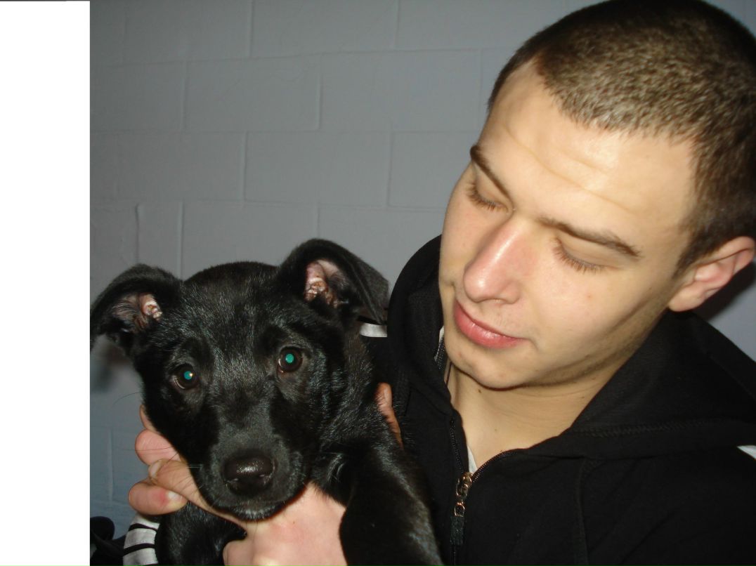 Игорь Руданюк | Рышканы