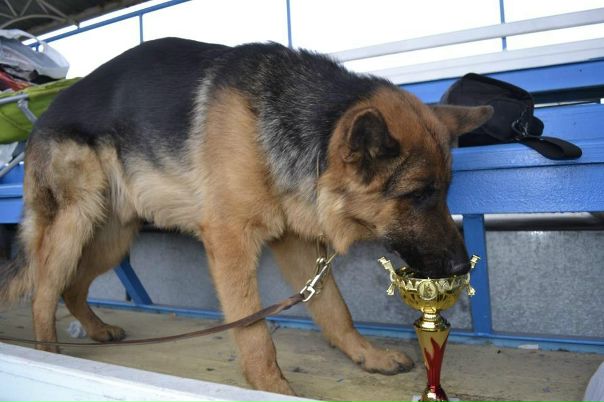 №94, Ольга Брусник, Кривой Рог №94, Ольга Брусник, Кривой Рог