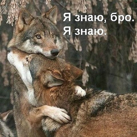 Дарья Прокопьева | Красноярск