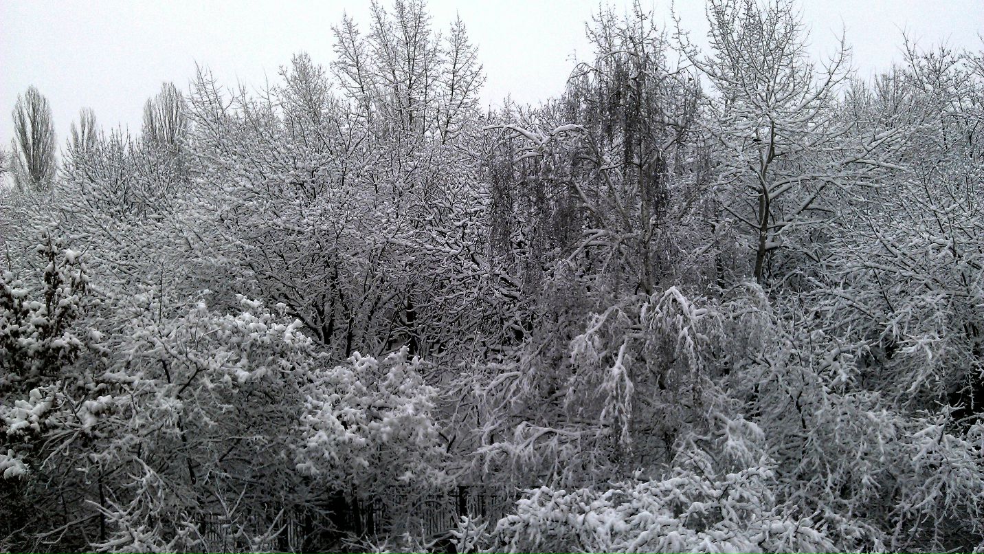 Тимофей Ефимов TimonBaton | Киев