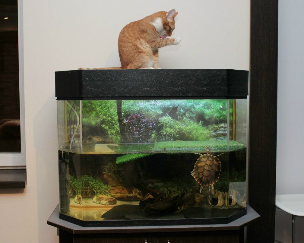 Любовь Фияксель | Нижний Новгород