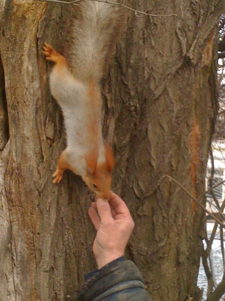 Александр Прокопенко | Одесса