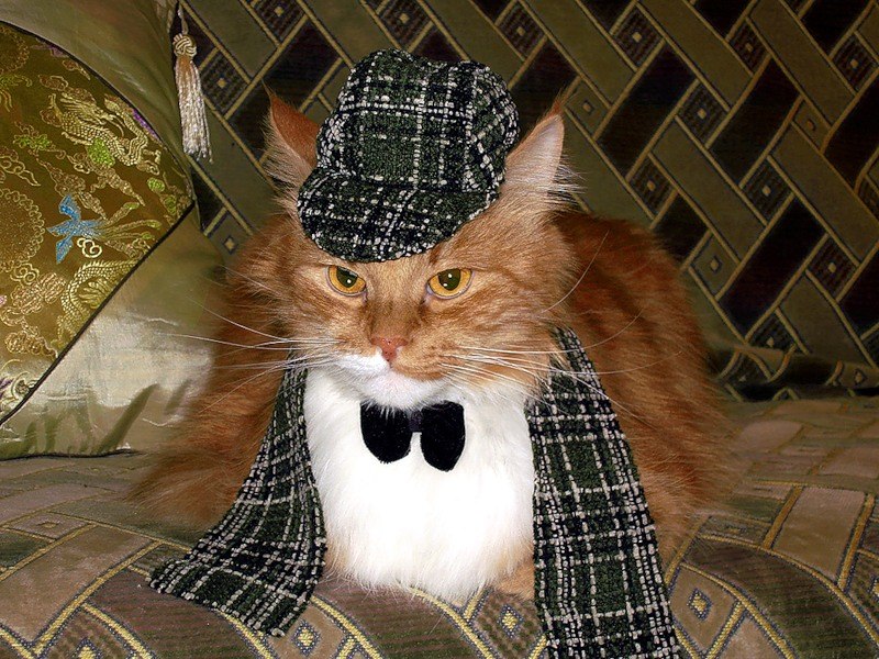 Никита Михайлович | Курск