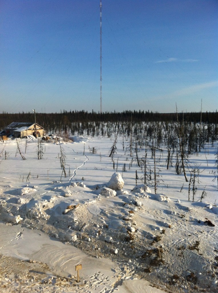 Александр Омячкин | Москва