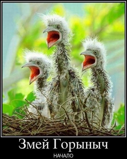 №14, Дима Фролов №14, Дима Фролов