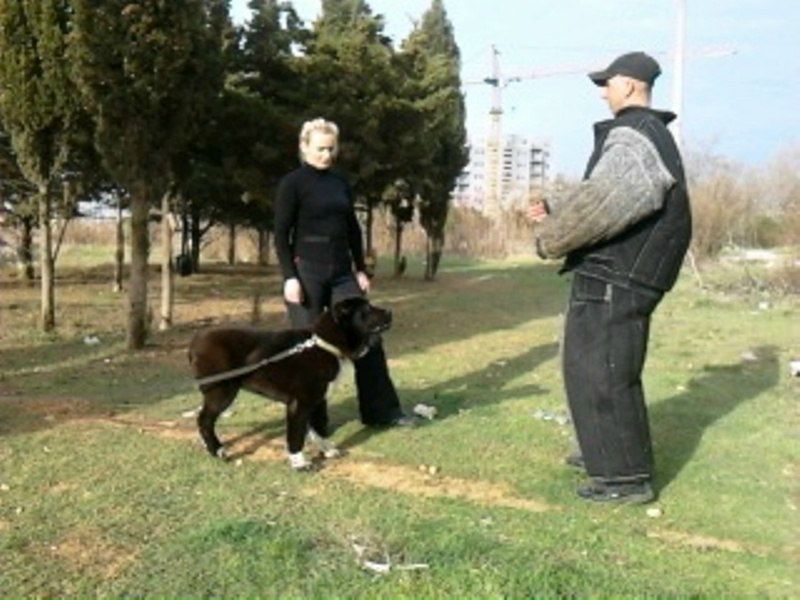 №98, Руслан Гордеев, Львов №98, Руслан Гордеев, Львов