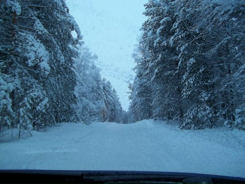 Владимир Шибанов Юрьевич | Белоярский