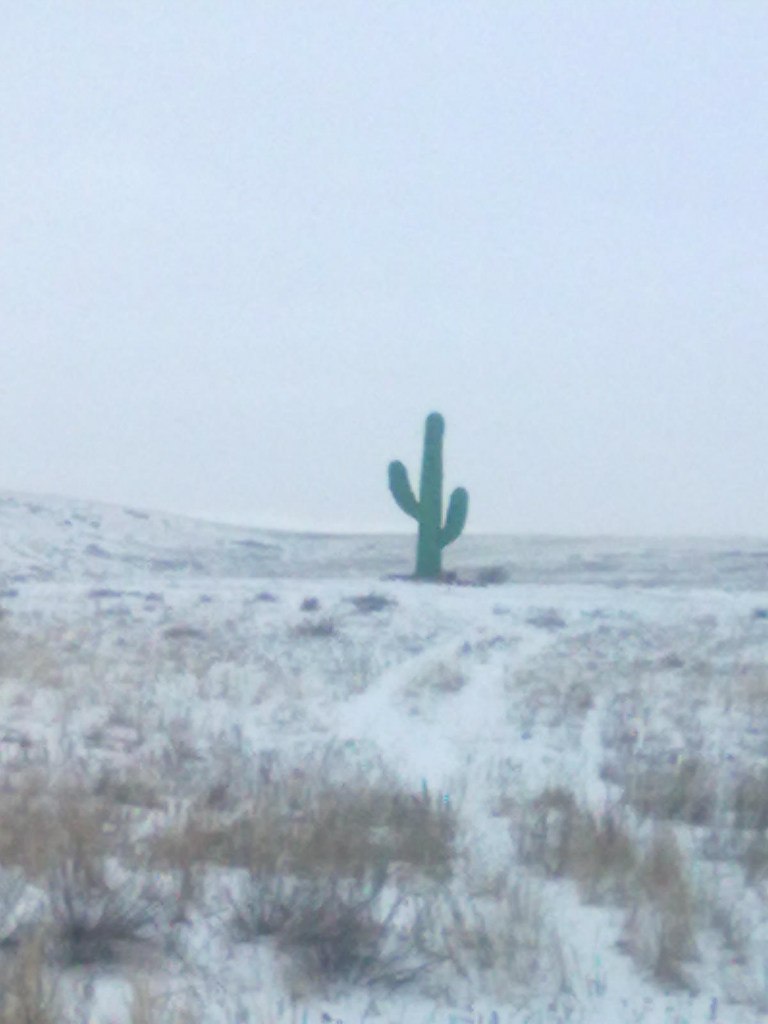 Пашка Щиголев | Магнитогорск