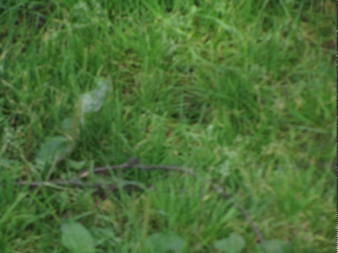 Евгений Маковей георгиевич | Москва