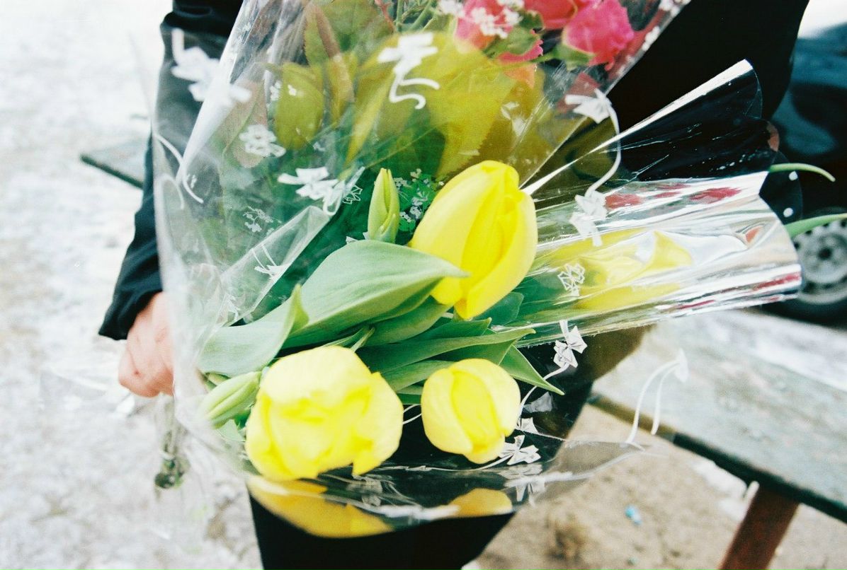 Вероника Куклина | 