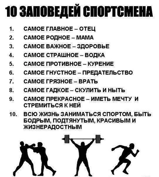 №8, Артем Ржим №8, Артем Ржим
