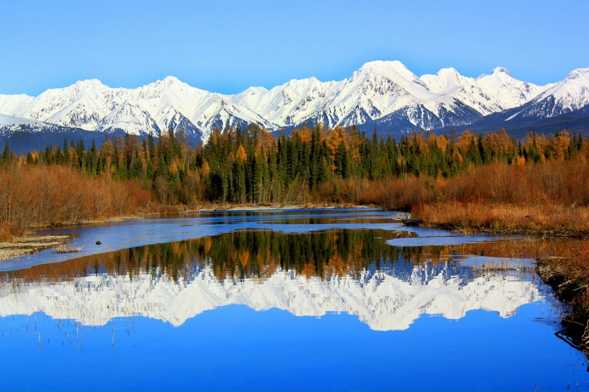 Артыш Седип | Кызыл