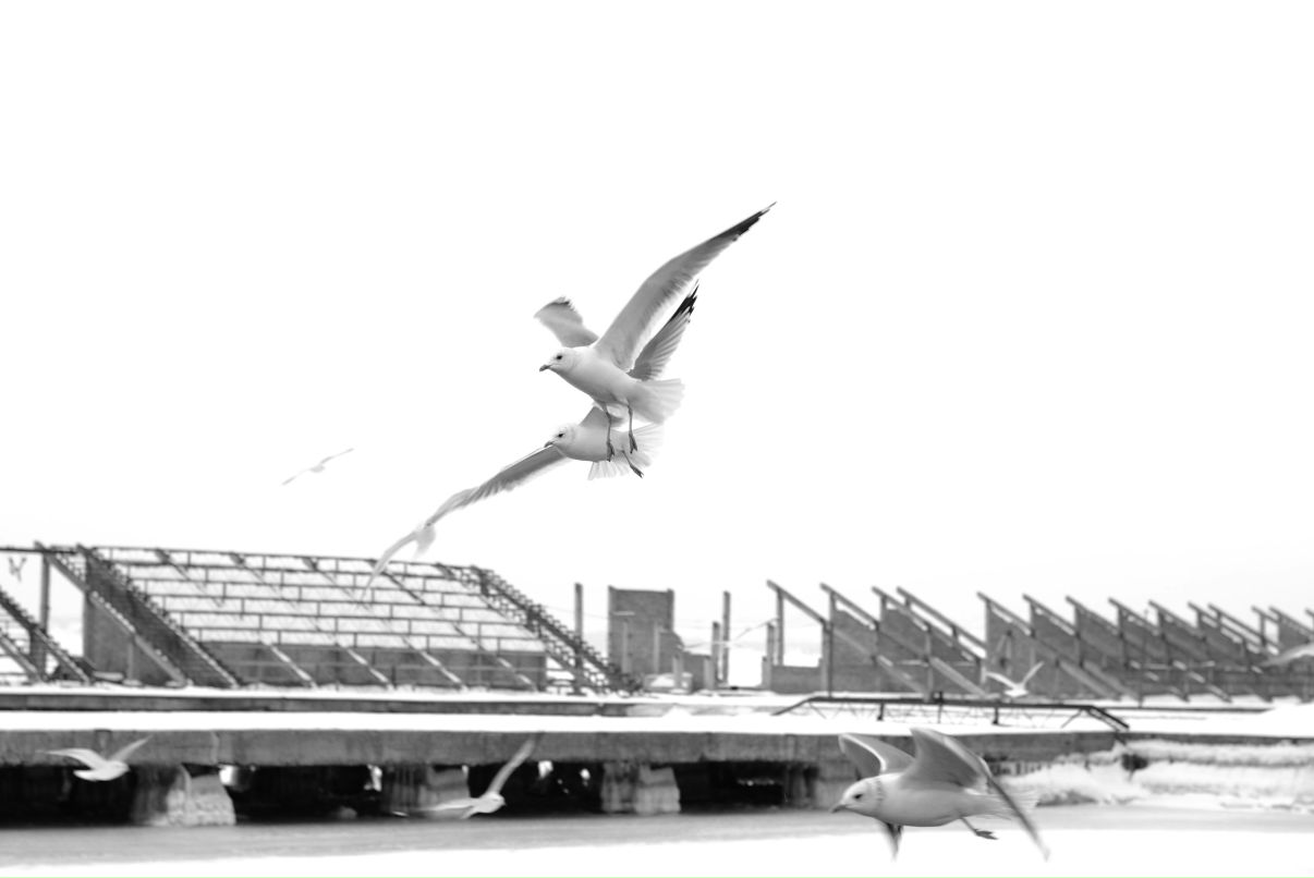 Виктор Голубцов | Керчь