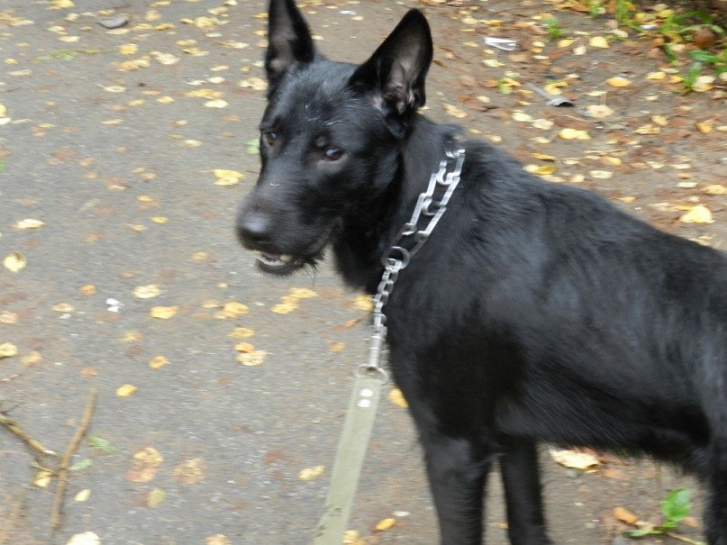 Ирина Калинина Ивановна | Ижевск