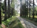 Сергей Дворецкий фотография #40