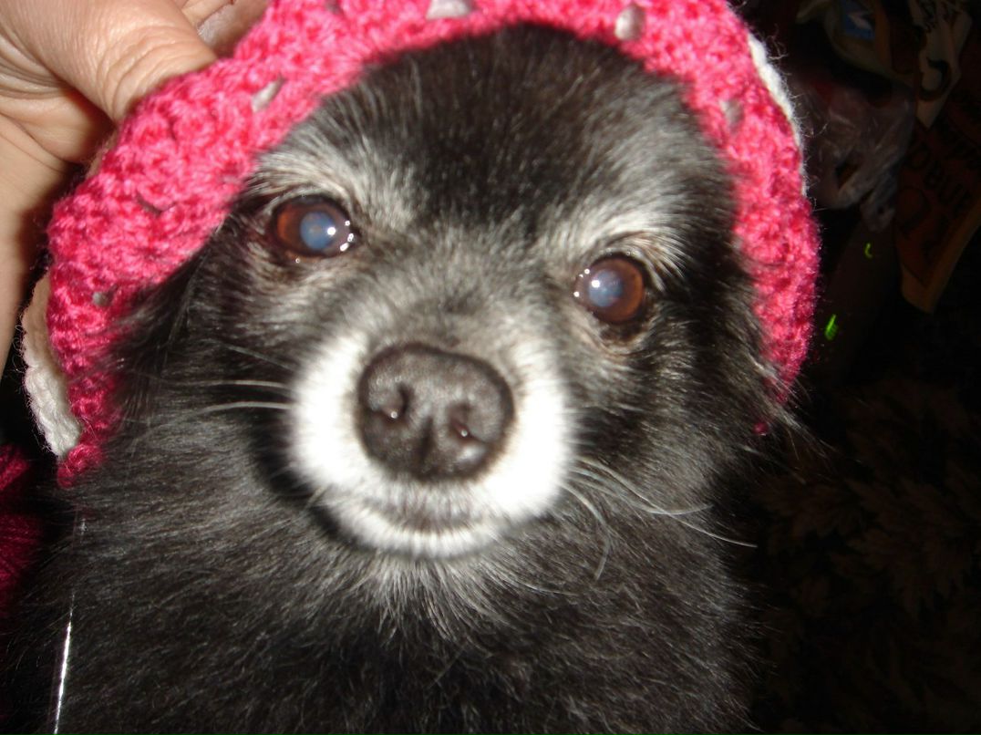 Марина Березкина | Москва