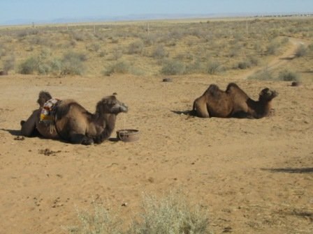 Хью Джекман | Saint Petersburg