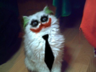 Артем Кириллов | Чебоксары