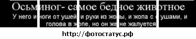 №17, Діма Цехан, Луцк №17, Діма Цехан, Луцк