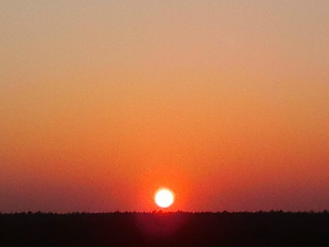 Григорий Жебрун | Житомир