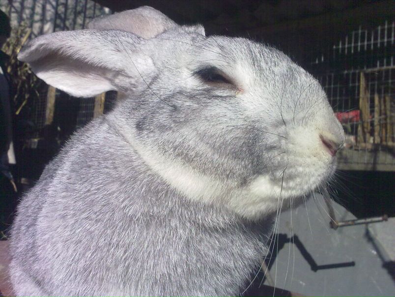 №23, Юра Саражинский, 42 года, Черкассы №23, Юра Саражинский, 42 года, Черкассы