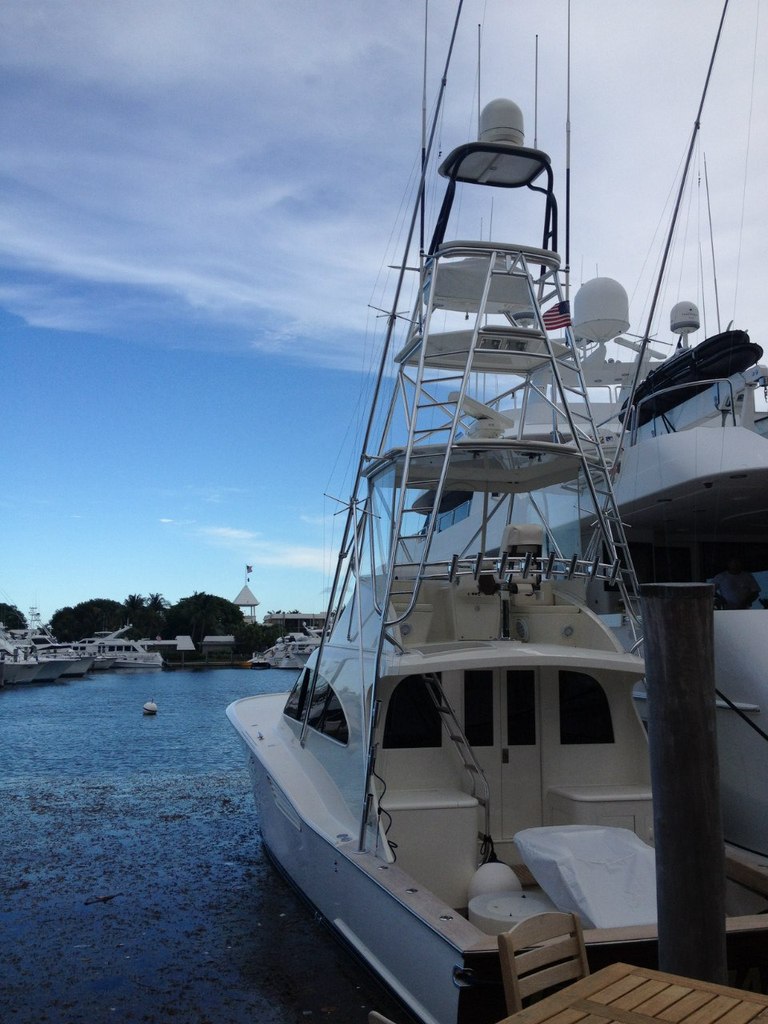 Данила Ильчик | 