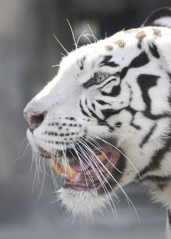 Федор Геннадьевич | Омск