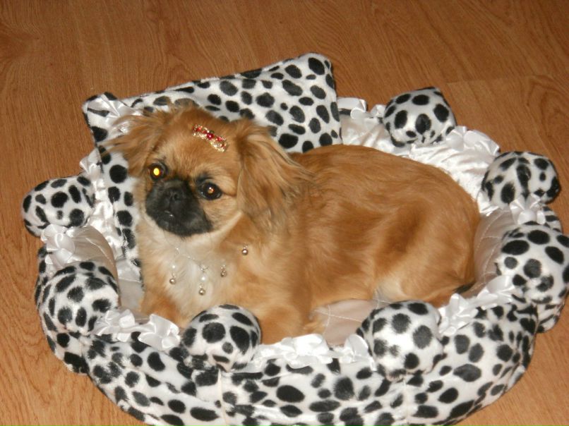 Татьяна Подобаева | Одесса