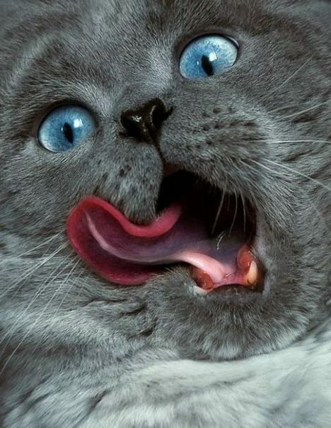 №137, Тая Снежная, 42 года, Москва №137, Тая Снежная, 42 года, Москва