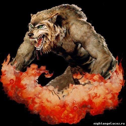 №2, Евгений Расинский №2, Евгений Расинский