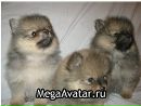 Фотография Наталья Демидова
